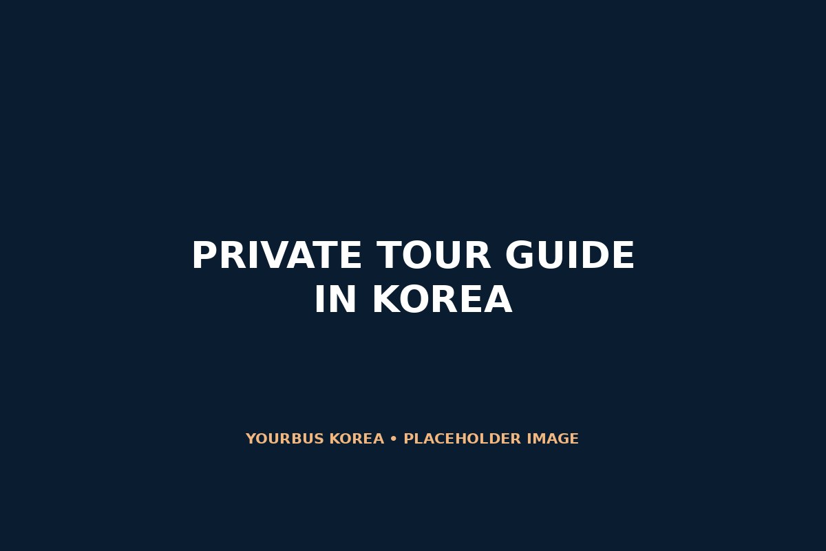 Professional private tour guide in Korea